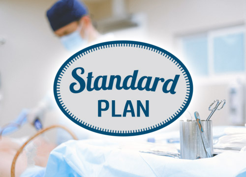 Standard Plan: $1,200/yr